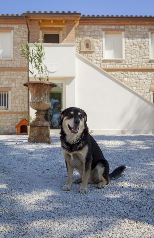 Borgoparvo Countryvilla Sirolo Exterior foto